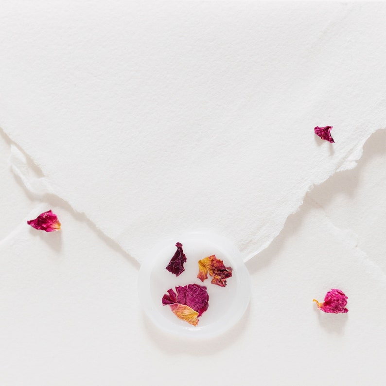 Rose Petal Vellum Wax Seals